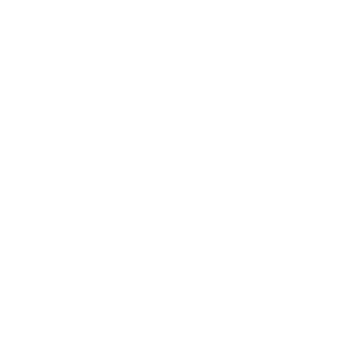 Custom Image