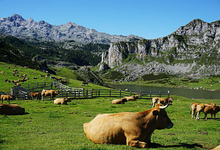 Asturias 1